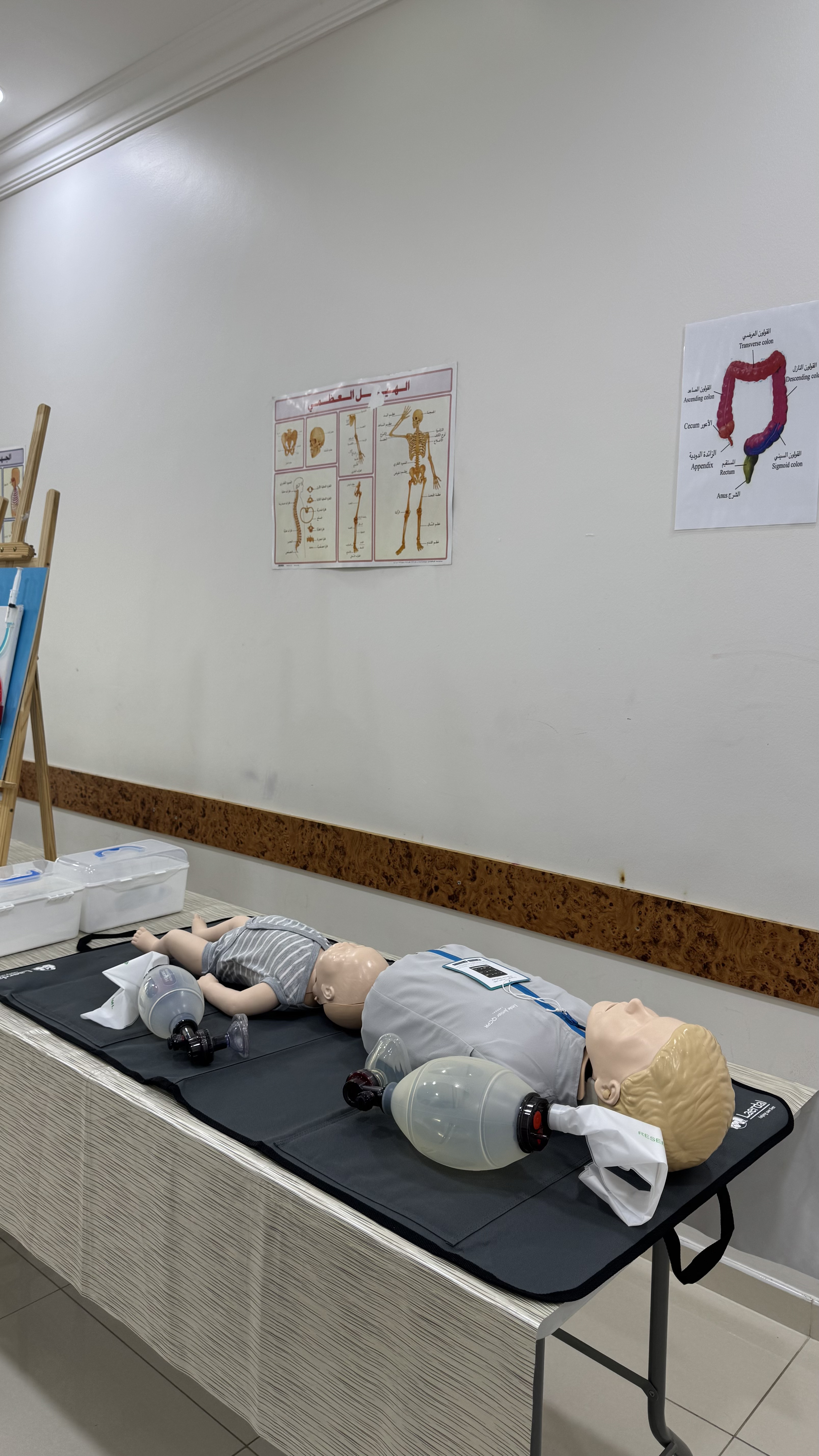 Excellence in Healthcare Education