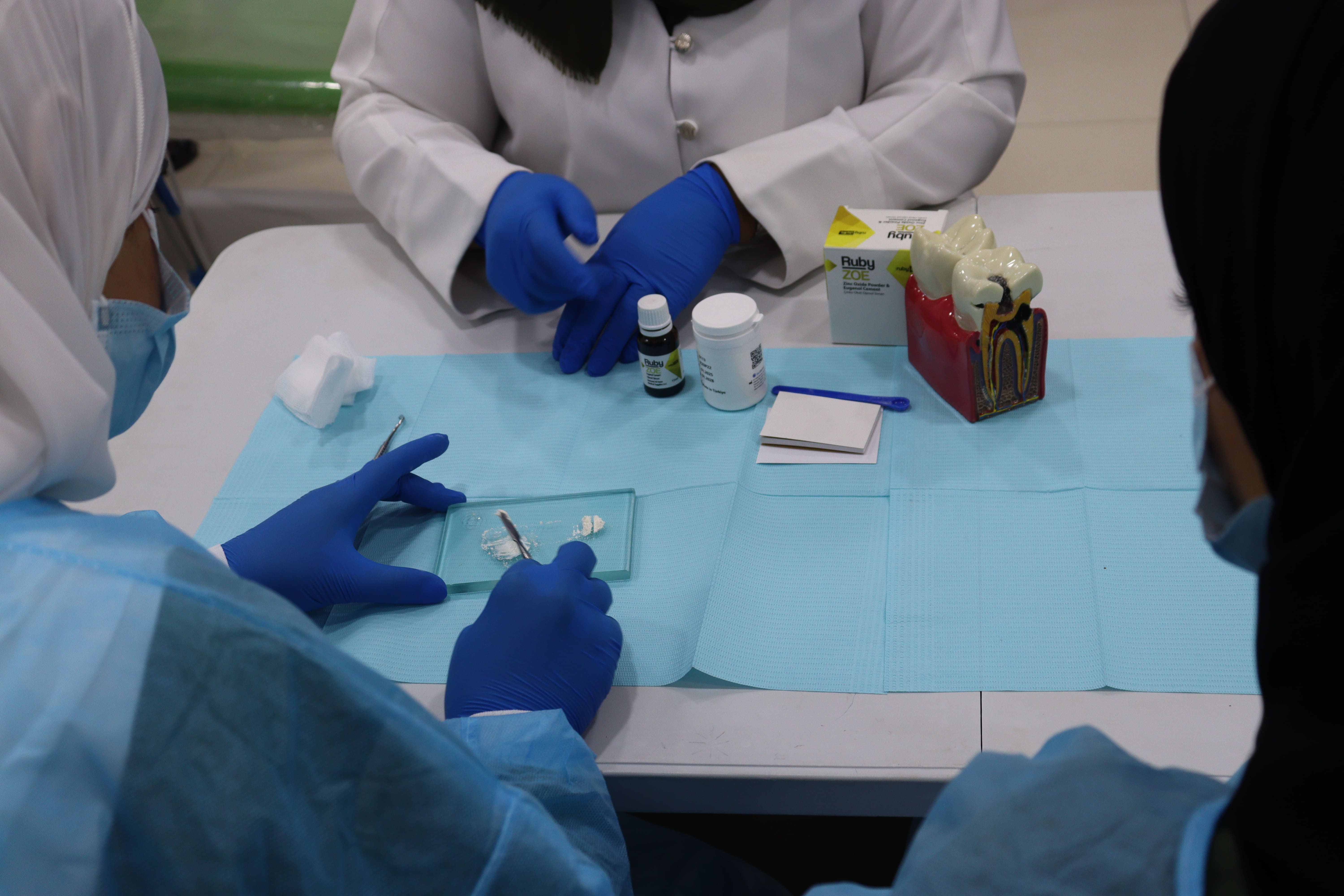 Future Healthcare Professionals